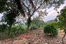 Land for sale in Nam Phrae, Chiang Mai