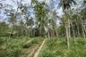 Land for sale in Karubi, Pattani