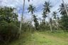 Land for sale in Karubi, Pattani