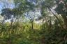 Land for sale in Karon, Phuket