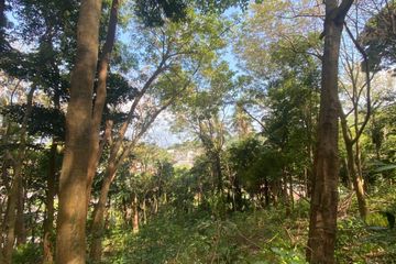 Land for sale in Karon, Phuket