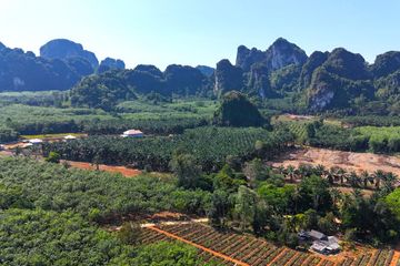Land for sale in Ao Nang, Krabi