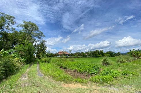 Land for sale in Pa Pong, Chiang Mai