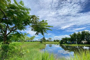 Land for sale in Pa Pong, Chiang Mai