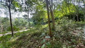 Land for sale in Sai Thai, Krabi