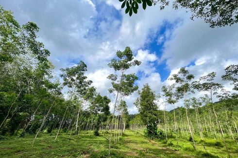 Land for sale in Kalai, Phang Nga