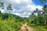 Land for sale in Kalai, Phang Nga