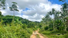 Land for sale in Kalai, Phang Nga