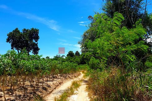 Land for sale in Huai Yai, Chonburi