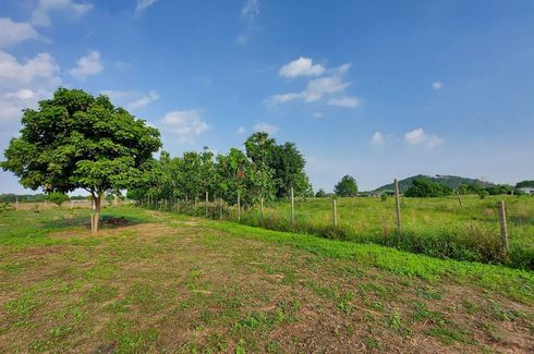 Land for sale in Huai Yai, Chonburi