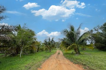 Land for sale in Khok Kloi, Phang Nga