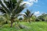 Land for sale in Khok Kloi, Phang Nga