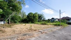 Land for sale in Saraphi, Chiang Mai