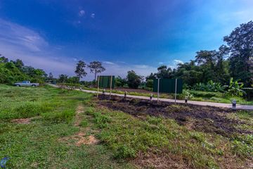 Land for sale in Phon Phaeng, Ubon Ratchathani
