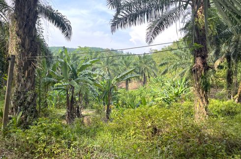 Land for sale in Tham, Phang Nga