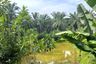 Land for sale in Tham, Phang Nga