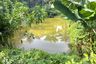 Land for sale in Tham, Phang Nga