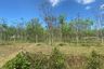 Land for sale in Thep Krasatti, Phuket