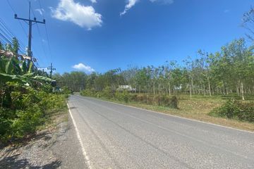 Land for sale in Thep Krasatti, Phuket