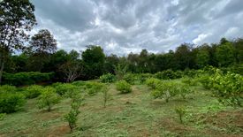 Land for sale in Ban Chang, Chiang Mai