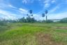 Land for sale in Thep Krasatti, Phuket