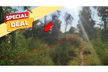Land for sale in Na Fai, Chaiyaphum
