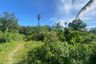 Land for sale in Tha Yu, Phang Nga