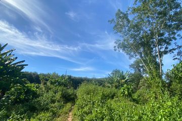 Land for sale in Tha Yu, Phang Nga