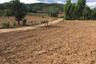 Land for sale in Wiang Tai, Mae Hong Son