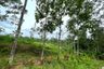 Land for sale in Tha Yu, Phang Nga
