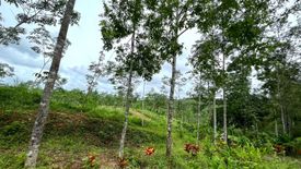 Land for sale in Tha Yu, Phang Nga