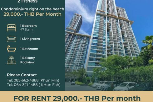 1 Bedroom Condo for rent in The Riviera Wongamat, Na Kluea, Chonburi