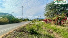 Land for sale in Wang Chomphu, Phetchabun