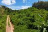 Land for sale in Lo Yung, Phang Nga