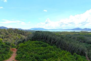 Land for sale in Lo Yung, Phang Nga