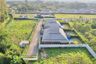 Land for sale in Tha Wang Tan, Chiang Mai