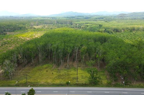 Land for sale in Tha Yu, Phang Nga