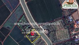 Land for sale in Plai Na, Suphan Buri