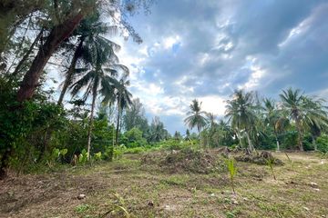 Land for sale in Khuekkhak, Phang Nga
