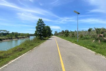 Land for sale in Lo Yung, Phang Nga