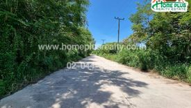 Land for sale in Saeng Arun, Prachuap Khiri Khan