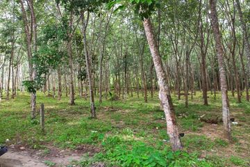 Land for sale in Lo Yung, Phang Nga