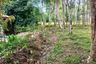 Land for sale in Lo Yung, Phang Nga