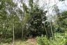 Land for sale in Karubi, Pattani