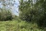 Land for sale in Karubi, Pattani