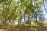 Land for sale in Rawai, Phuket
