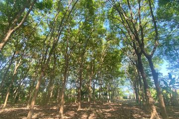 Land for sale in Rawai, Phuket