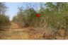 Land for sale in Kan Chu, Phetchabun