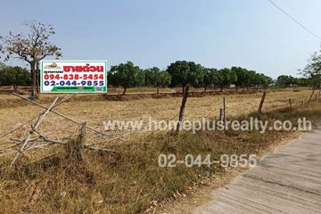 Land for sale in Nong Daeng, Maha Sarakham