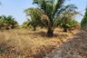 Land for sale in Yan Ri, Prachin Buri